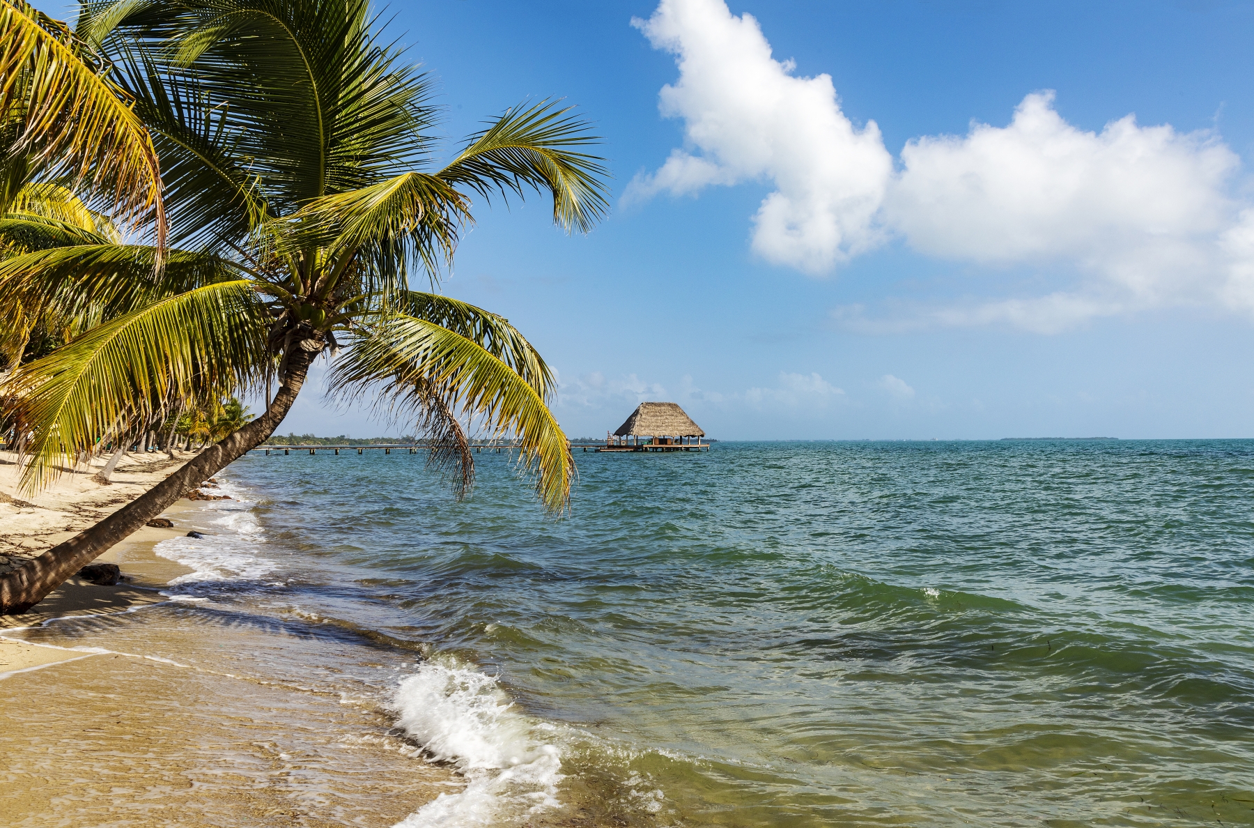 /gallery/central_america/Belize/Stann_Creek/placencia/Placencia Belze Feb 2022-009_med.jpg